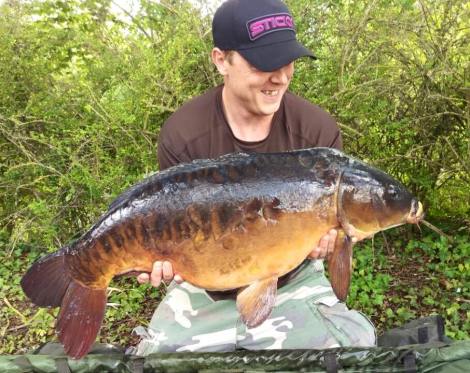 10999766_902612449829132_9200084226997647154_n