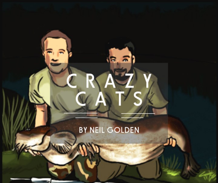 CRAZY CATS