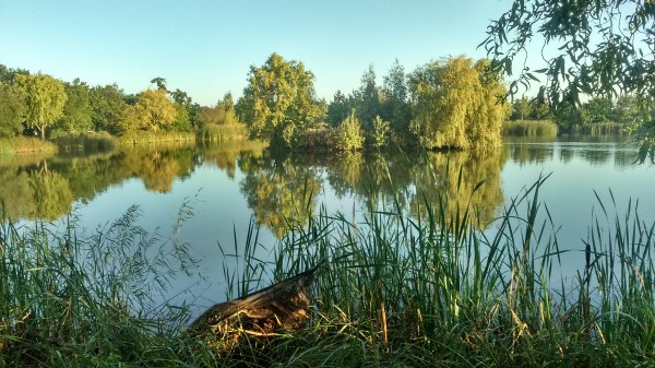 Church Lake. Even fishing sometimes kicks me....