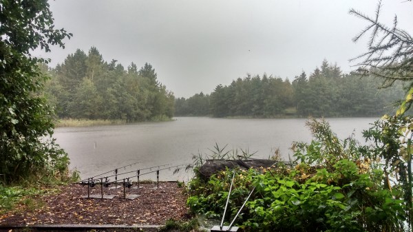 Watching the water like a hawk even in the rain