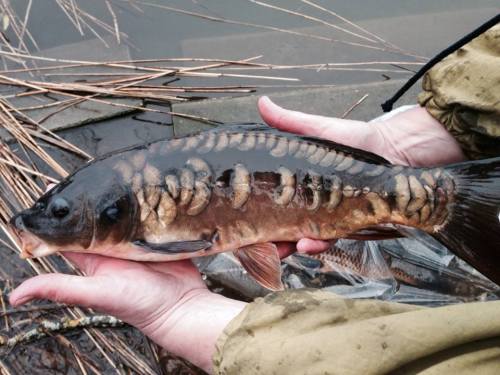 1969333_10202518408335206_900435202_n