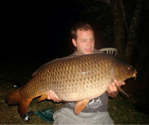 blogger-image-782485