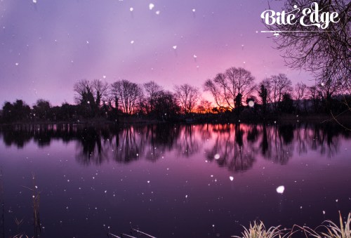 Winter snow shot with logo