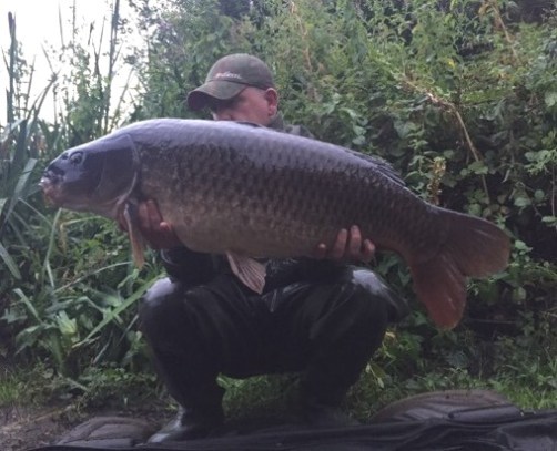 29lb 2ozb Common