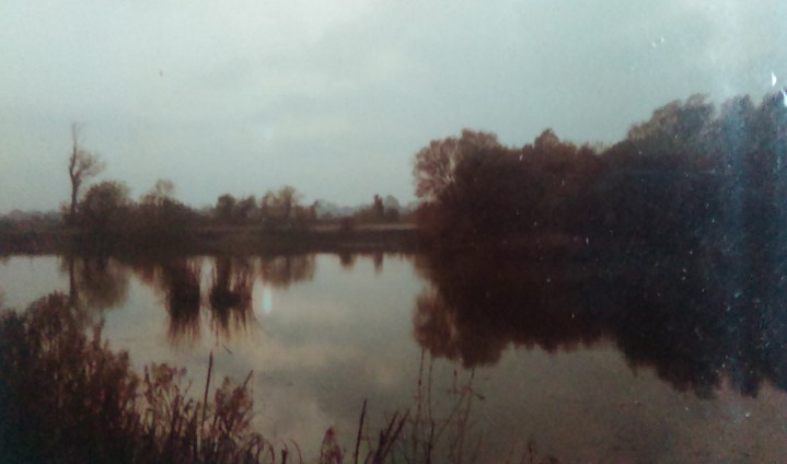 lake shot browns pit
